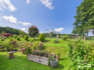 Garden- click for photo gallery